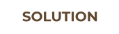 SOLUTION